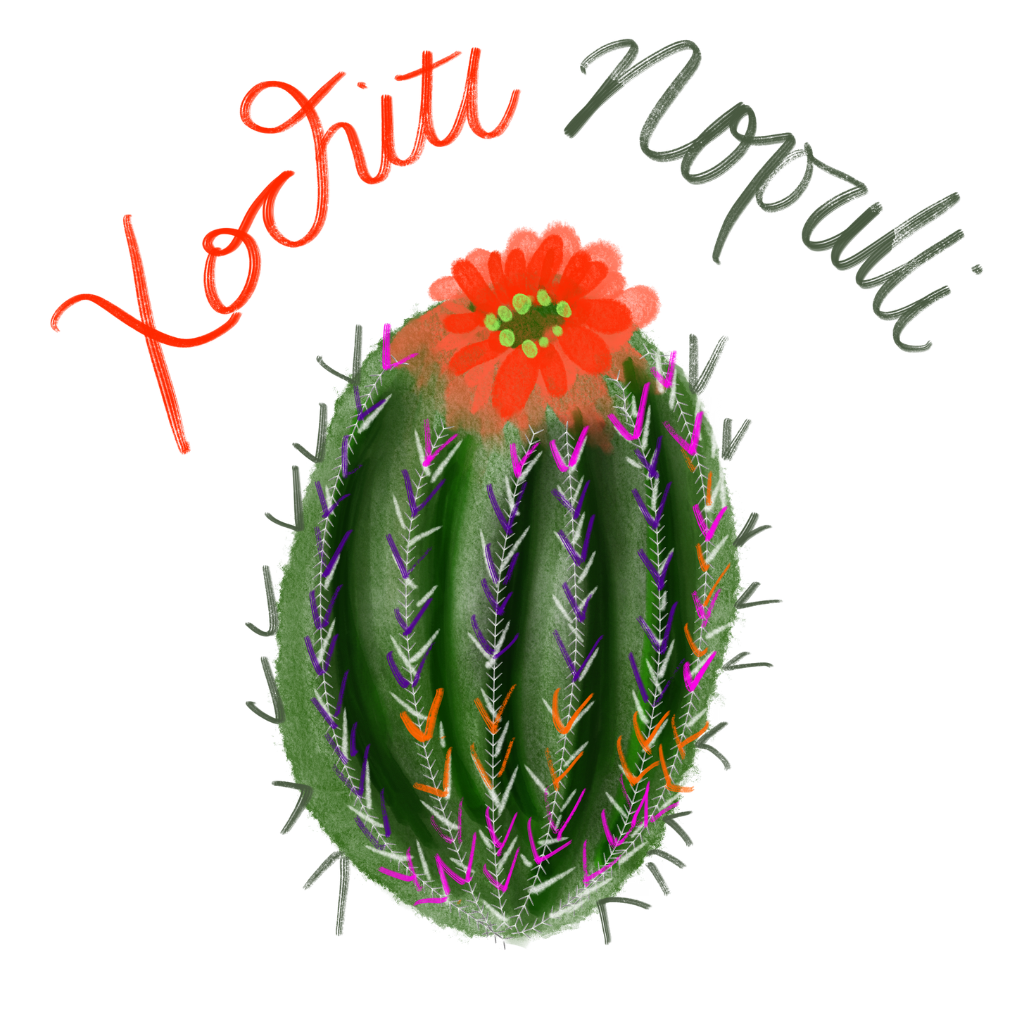Barrel Cactus Organic Canvas Tote Bag